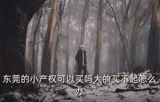 東莞長(zhǎng)安小產(chǎn)權(quán)在哪里,東莞長(zhǎng)安有很多小產(chǎn)權(quán)房在賣