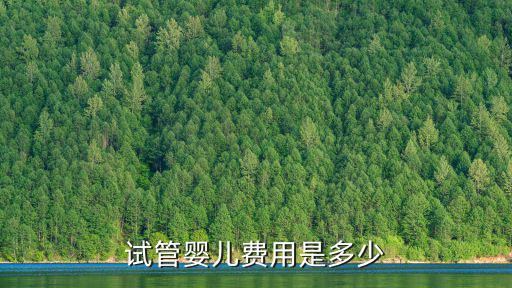 南京市人民醫院試管嬰兒多少錢,試管嬰兒的花費是多少