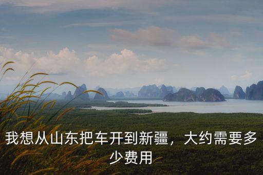 我想從山東把車開到新疆，大約需要多少費用