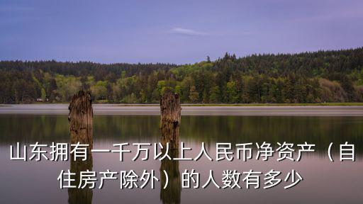 山東的千萬富翁有多少,中國的富人到底有多少