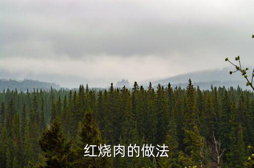 紅燒肉的做法
