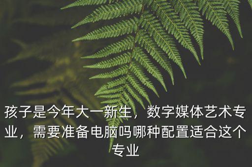 孩子是今年大一新生，數字媒體藝術專業，需要準備電腦嗎哪種配置適合這個專業