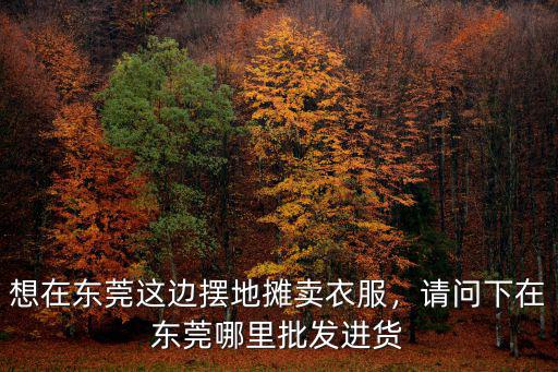 東莞衣服在哪里拿貨,想在東莞這邊擺地攤賣衣服