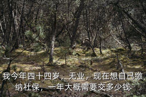 我今年四十四歲，無業，現在想自己繳納社保，一年大概需要交多少錢
