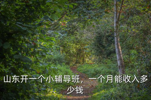 青島地區辦個初中輔導班能掙多少錢,一個月能收入多少錢
