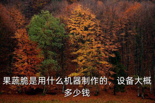 日照什么是果蔬脆多少錢一袋,果蔬脆是用什么機器制作的