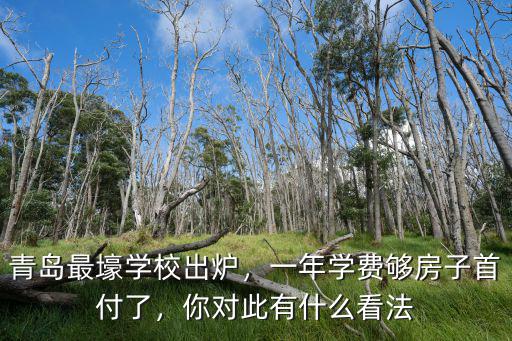 青島銀海學校小學學費多少,青島最壕學校出爐
