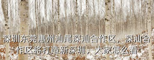 深圳東莞惠州汕尾深汕合作區，深汕合作區將打造新深圳，大家怎么看
