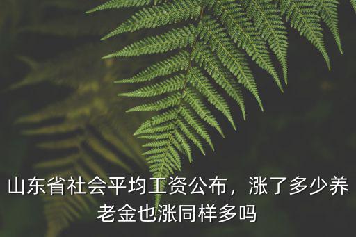 山東省老年人養老金漲多少,養老金平均能漲多少錢