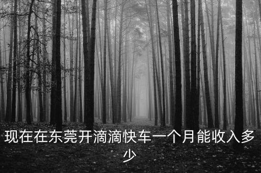 東莞現在跑滴滴一個月大概多少,在東莞跑滴滴發展前景咋樣