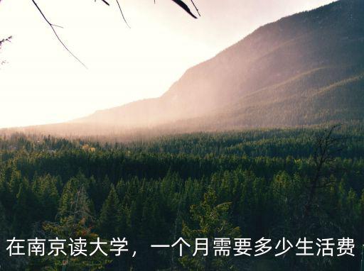 江蘇的學費是多少錢一個月,一個月需要多少生活費