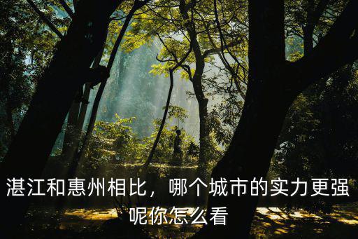 湛江和惠州相比，哪個城市的實力更強呢你怎么看