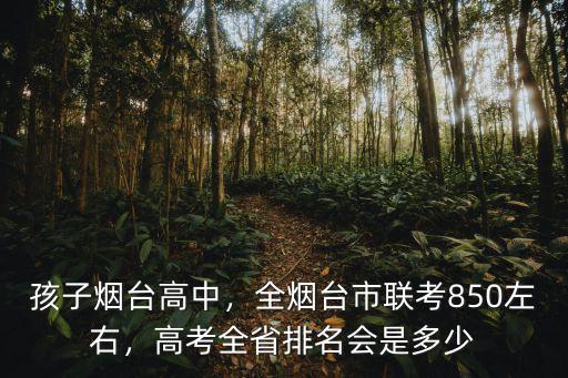 孩子煙臺高中，全煙臺市聯(lián)考850左右，高考全省排名會是多少