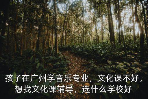 廣州藝軒音樂培訓學校怎么樣,孩子在廣州學音樂專業