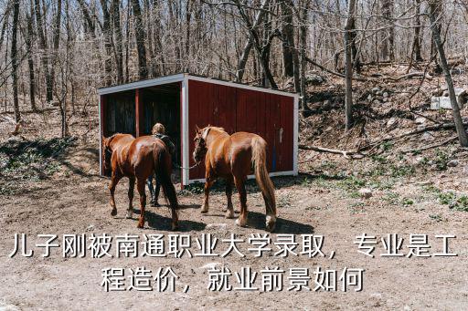 南通職業(yè)大學(xué)工資多少,兒子剛被南通職業(yè)大學(xué)錄取
