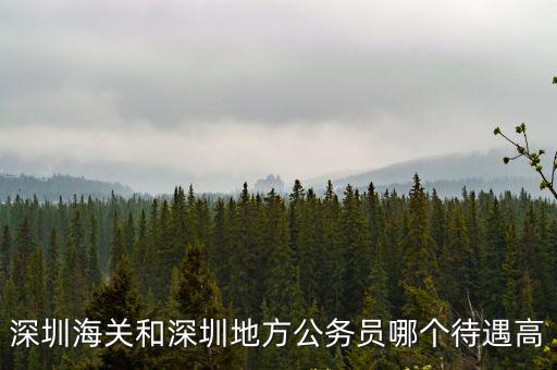 深圳海關和深圳地方公務員哪個待遇高