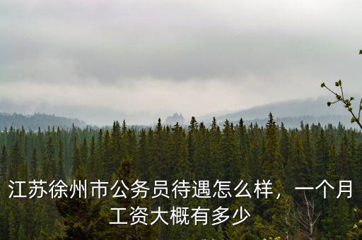 徐州地鐵工作工資多少錢一個月,地鐵安檢員多少錢工資一個月