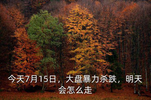 今天7月15日，大盤暴力殺跌，明天會怎么走