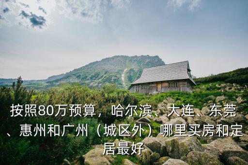 按照80萬預算，哈爾濱、大連、東莞、惠州和廣州（城區外）哪里買房和定居最好