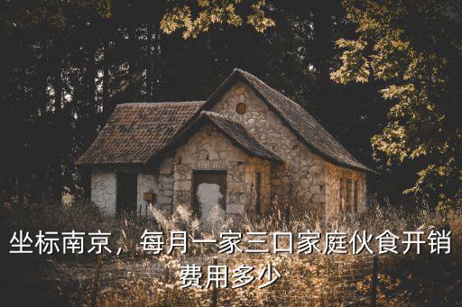 南京人一年開銷多少錢,一家一年的支出一般是多少