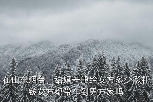 煙臺小粉燈一般都多少錢,結婚一般給女方多少彩禮錢