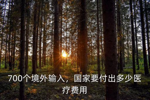 700個境外輸入，國家要付出多少醫療費用