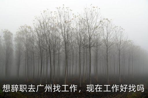 想辭職去廣州找工作，現在工作好找嗎