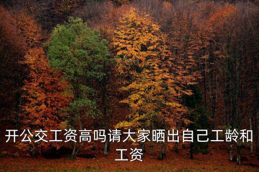 開公交工資高嗎請(qǐng)大家曬出自己工齡和工資