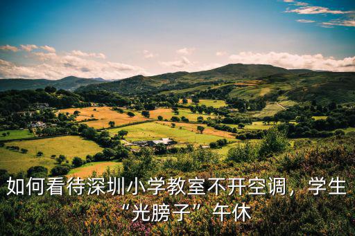 深圳荔灣小學午休怎么樣,深圳一小學教室內設置午休床