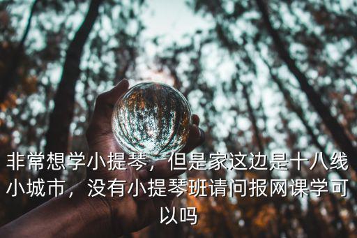 湛江哪里學小提琴,非常想學小提琴