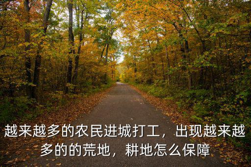 越來越多的農(nóng)民進(jìn)城打工，出現(xiàn)越來越多的的荒地，耕地怎么保障