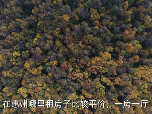 惠州小巷哪里租房最好,請(qǐng)問(wèn)哪里的房子合適