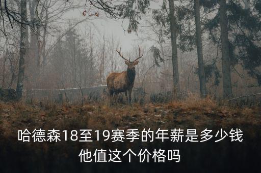 哈德森山東隊年薪多少錢,哈德森賺到了多少薪水