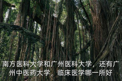 廣州哪里中醫(yī),廣州中醫(yī)藥大學(xué)怎么樣