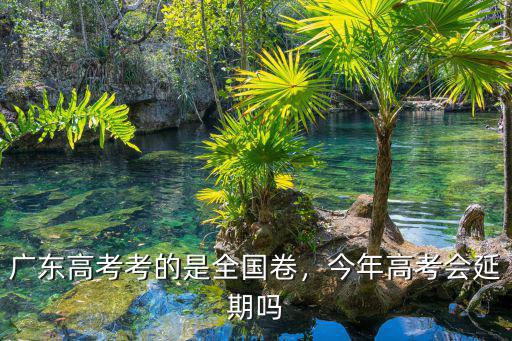 廣東高考考的是全國卷，今年高考會延期嗎