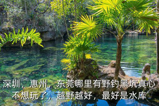 哪里有小龍蝦釣惠州,東莞哪里有野釣