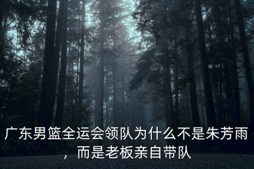 廣東男籃全運會領隊為什么不是朱芳雨，而是老板親自帶隊