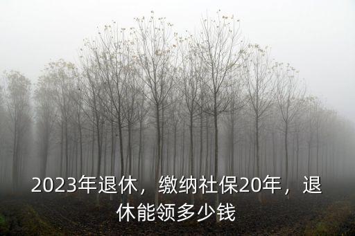 蘇州社保20年退休能領(lǐng)多少錢,2023年退休