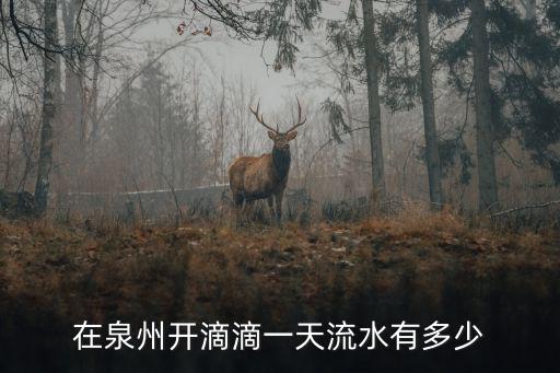 徐州跑滴滴流水多少,我想買輛車跑滴滴