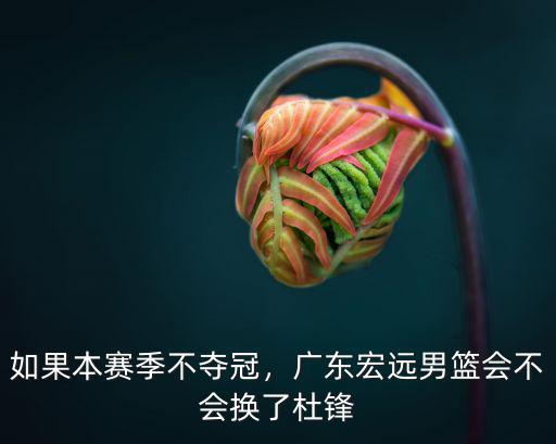如果本賽季不奪冠，廣東宏遠男籃會不會換了杜鋒