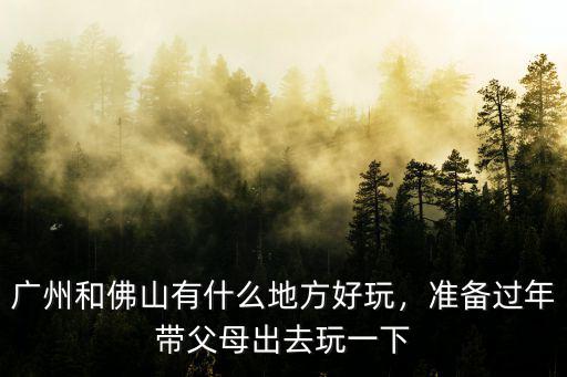廣東佛山過年哪里好玩,在廣東佛山過年