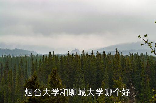 煙臺大學和聊城大學哪個好