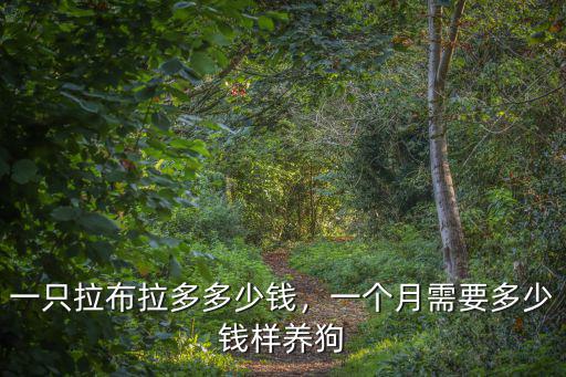 一只拉布拉多多少錢，一個月需要多少錢樣養(yǎng)狗