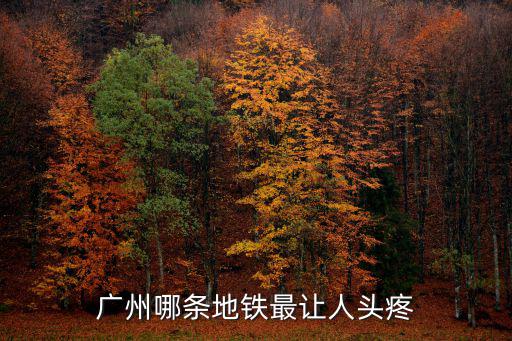 廣州地鐵現(xiàn)在一共多少條線,廣州有幾條地鐵線
