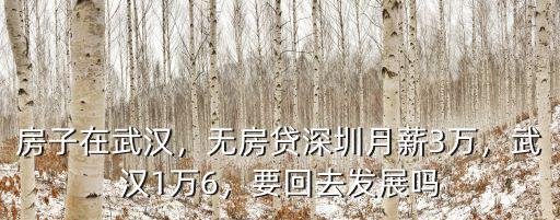 武漢月薪一萬相當于深圳多少,武漢月薪一萬五處于什么水平