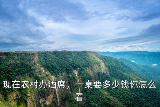 現在農村辦酒席，一桌要多少錢你怎么看