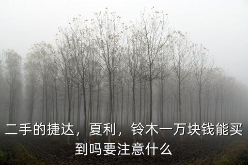 二手鈴木多少錢濟寧,在山東濟寧多少錢能落地