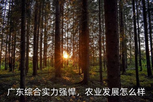 廣東江楠農業怎么樣,廣東綜合實力強悍