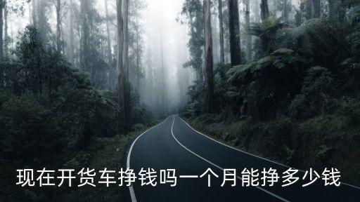 湛江小貨車一個月賺多少錢,現在開貨車掙錢嗎