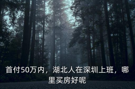 深圳哪里可以找湖北人,湖北人在深圳上班